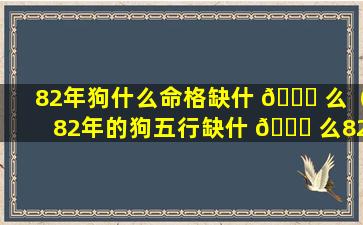 82年狗什么命格缺什 🐈 么（82年的狗五行缺什 🐛 么82属狗女寿命）